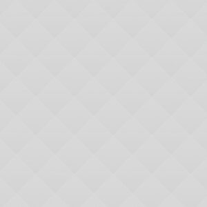 Interview with a Panda Bear