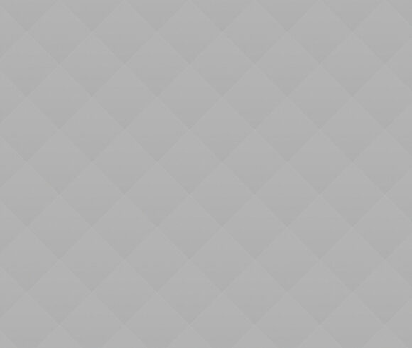 Forest Animals Rescue